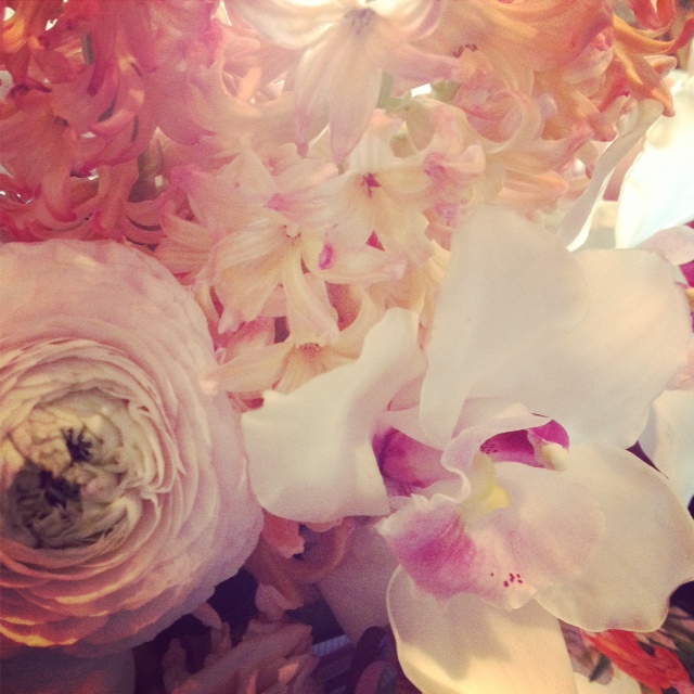 Home is where the flowers are.