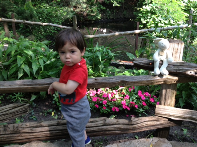 Nate looking for bunny.